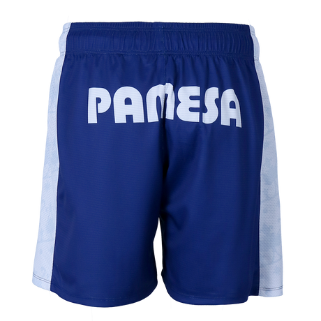 Second Kit Pants Senyera edition LFE VBC 24-25