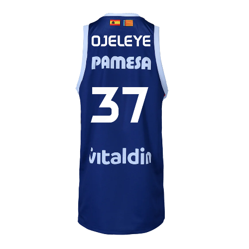 Camiseta 2ª Equipación ACB Senyera edition  VBC 24-25