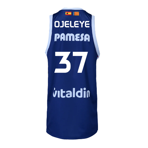 Camiseta 2ª Equipación ACB Senyera edition  VBC 24-25