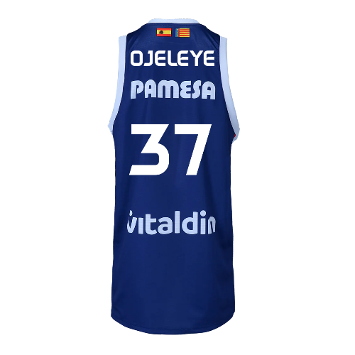 Camiseta 2ª Equipación ACB Senyera edition  VBC 24-25