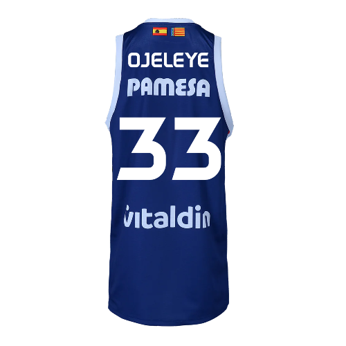 Camiseta 2ª Equipación ACB Senyera edition  VBC 24-25